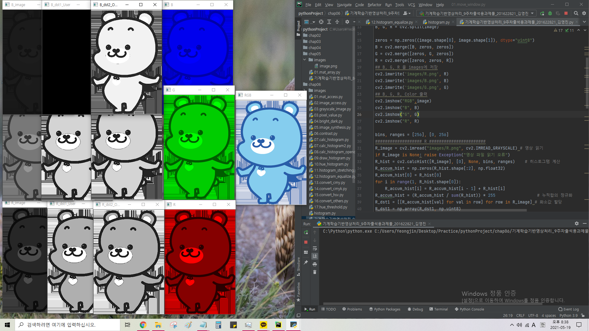 [Python OpenCV] Histogram Equalization. | flowerroot