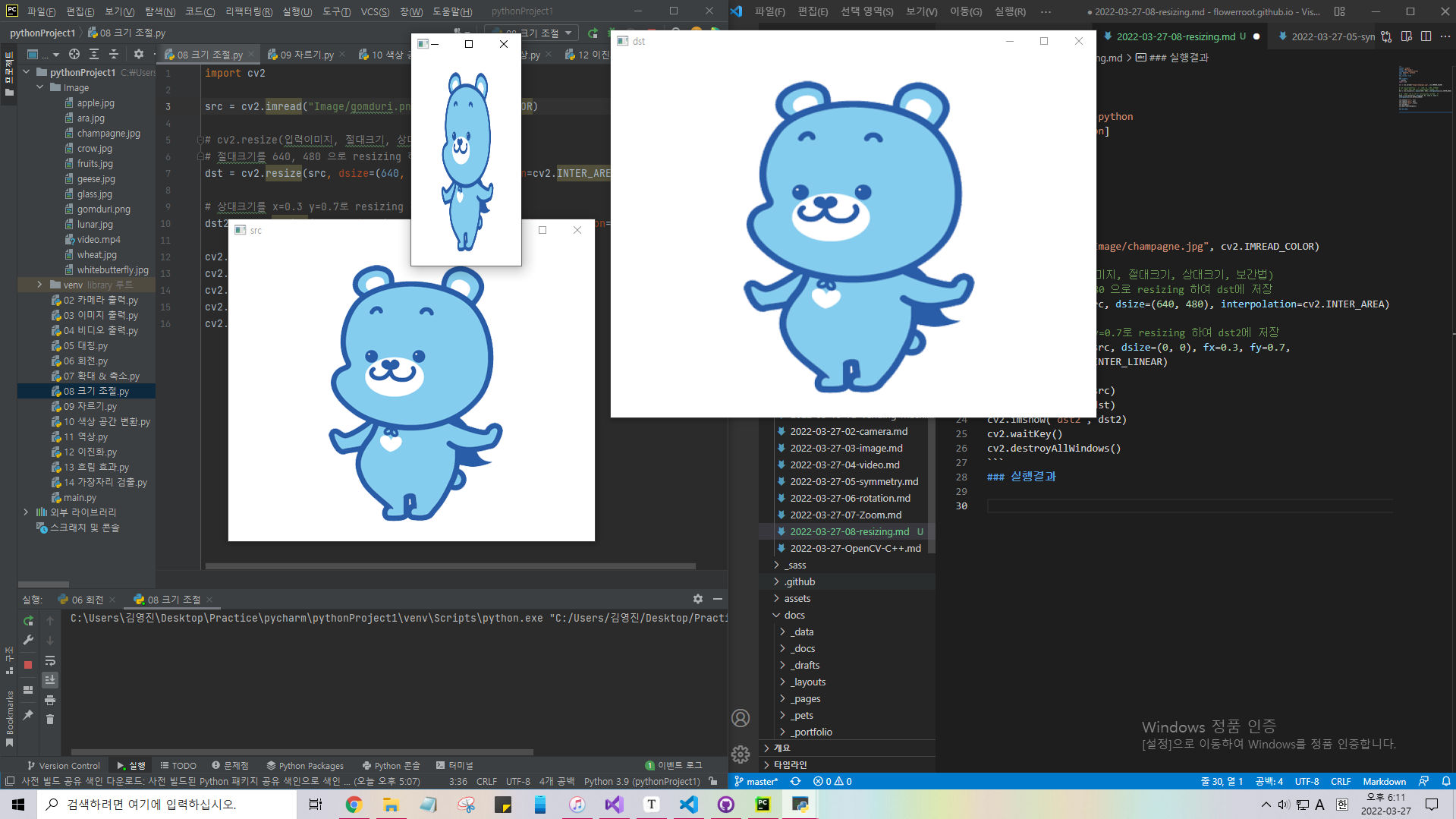 [Python OpenCV] Resizing. | flowerroot